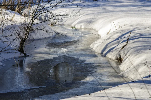 Rus kış manzarası.
