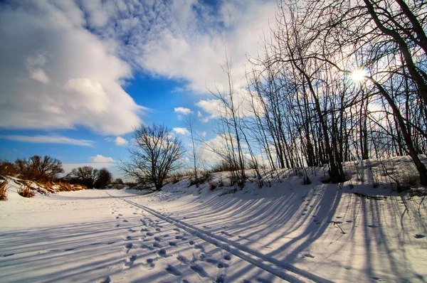 El paisaje de invierno . — Foto de Stock