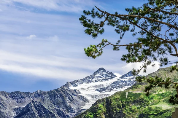 Mount Cheget. — Stockfoto