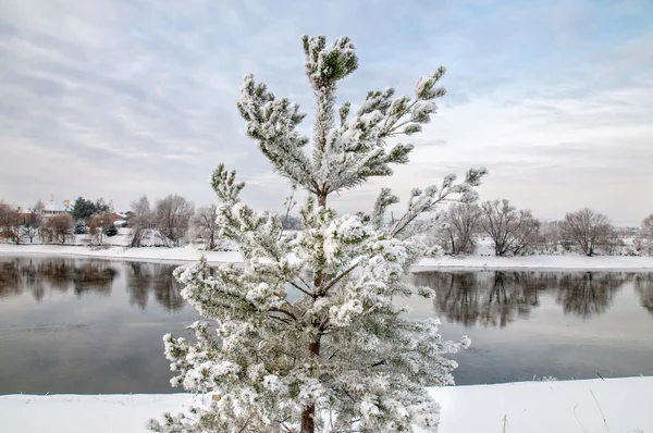 El río Moskva en invierno — Foto de Stock