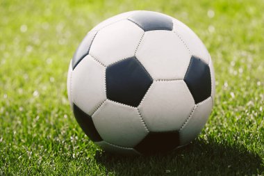 Yeşil Taze Spor Sahasında Klasik Futbol Topu