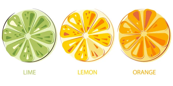 Limón Verde Jugoso Limón Naranjas Jugosas Soleadas Conjunto Frutas Enteras — Vector de stock