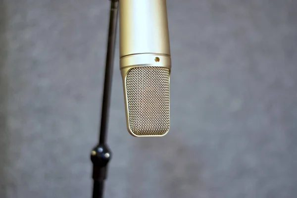 Microphone Voix Sur Fond Gris — Photo