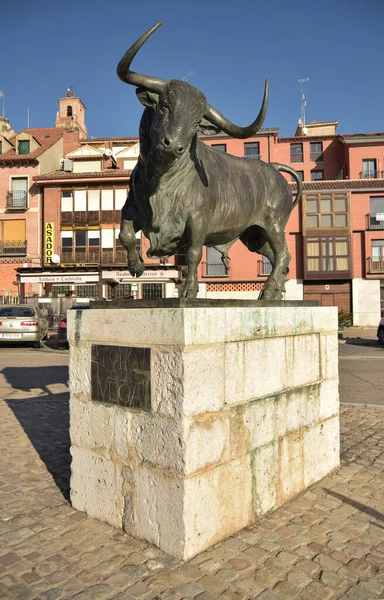 Tordesillas, İspanya; 01-13-2021 Vega Boğası Heykeli Oscar Alvario tarafından kaldırım yamacında yapıldı, Tordesillas, Valladolid.