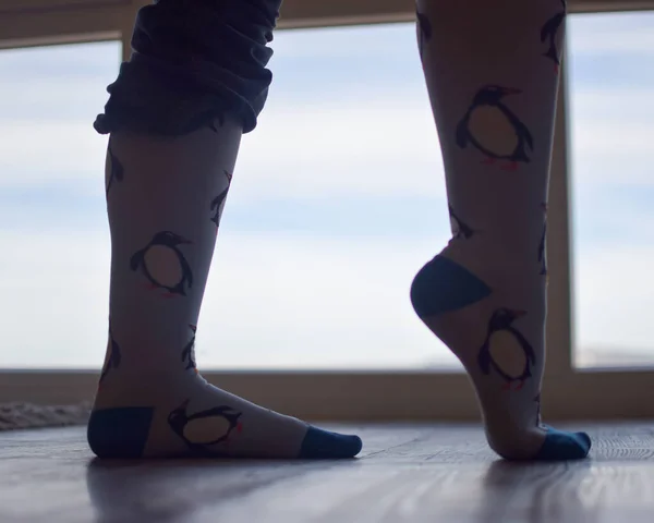 Women\'s feet with penguin socks on landscape.