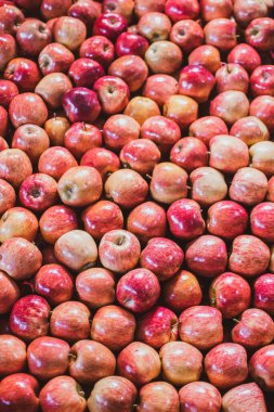 Merkezi organik pazarda bir sürü taze kırmızı elma