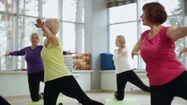 いくつかの大人の女性は、ジムで芸術体操に従事している. — ストック動画