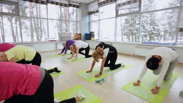 Varias mujeres adultas a cuatro patas haciendo gimnasia en el gimnasio. — Vídeos de Stock