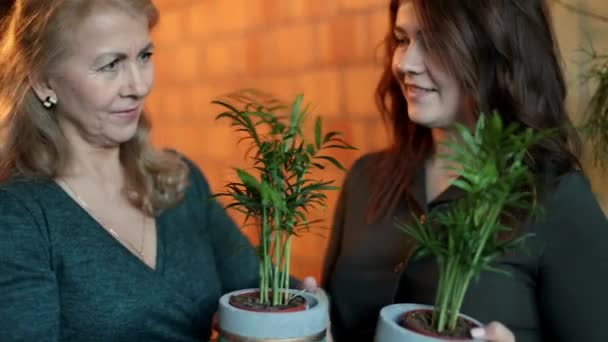 Dziewczyna i dorosła kobieta komunikują się w ich rękach, mają rośliny domowe. — Wideo stockowe