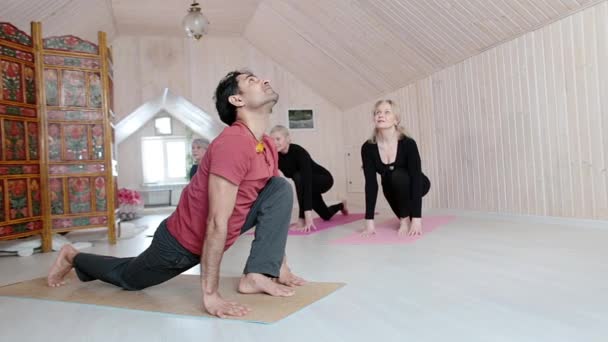 Trzy starsze kobiety ćwiczą jogę z instruktorem w domu. — Wideo stockowe