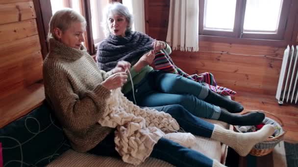 大人の女性はチャットや編み物や笑いに座る. — ストック動画