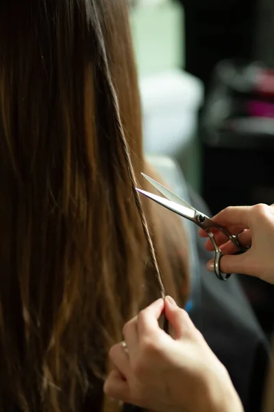 Руки с ножницами обрезают прядь волос кого-то другого брюнетки в салоне красоты — стоковое фото