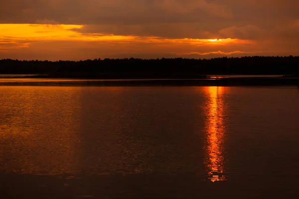 Ağaçların arasındaki gölde güzel bir gün batımı