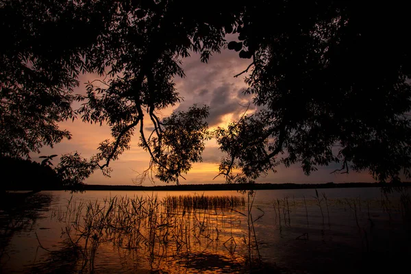 Ağaçların arasındaki gölde güzel bir gün batımı