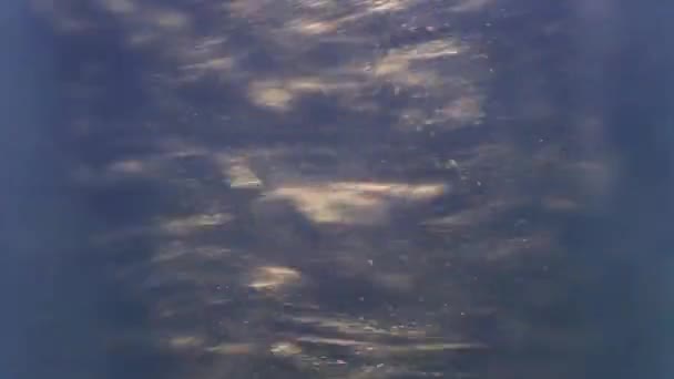 Blue shiny silver particles scatter absentmindedly in different directions. — Stockvideo