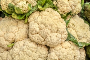 Yeşil yapraklı bir grup karnabahar, arka plan