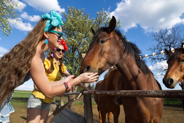 Niñas alimentando caballos —  Fotos de Stock