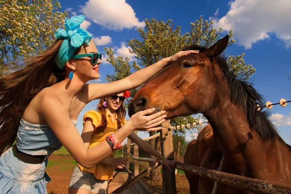 Girls feeding  horses — Stock Photo, Image