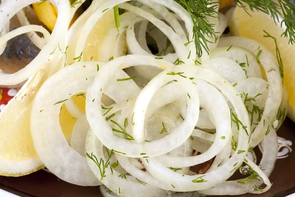 Pickled onions rings — Stock Image Pickled onions rings Stock Photo