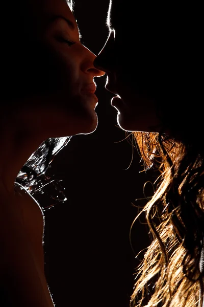 İki seksi kadın silüeti
