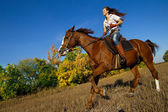 Dívka na koni koně v krajině.