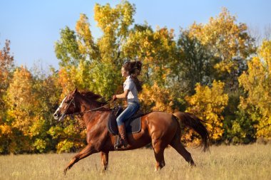 Girl riding a horse in countryside. clipart