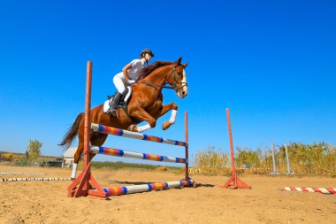 safkan at ile kadın jokey