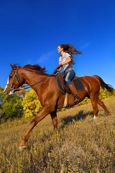 Menina equitação cavalo — Fotografia de Stock