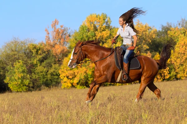 Άλογο ιππασίας κορίτσι στην εξοχή. — Φωτογραφία Αρχείου