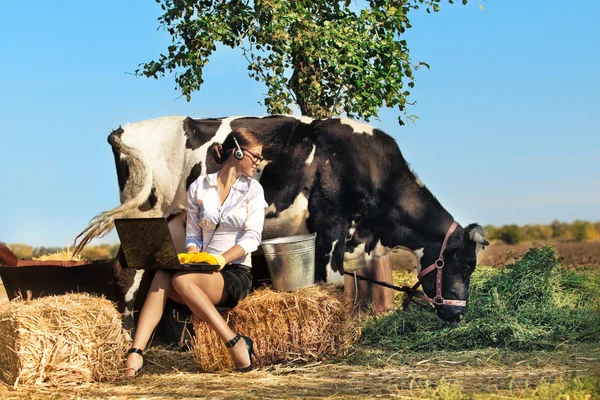 Geschäftsfrau melkt Kuh auf Bauernhof — Stockfoto