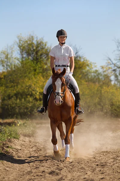 Jinete femenino con caballo de raza pura — Foto de Stock