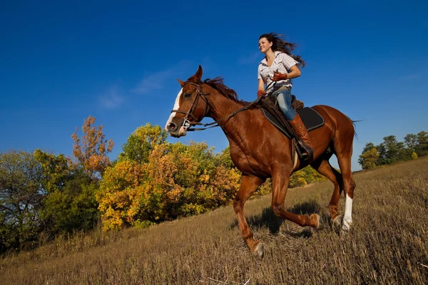 Дівчина верхи на коні на осінньому полі — стокове фото