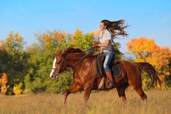 Mädchen reitet Pferd auf Herbstfeld — Stockfoto