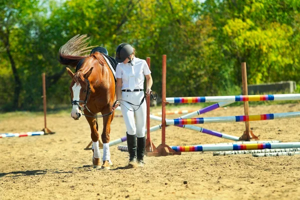 Jinete femenino con caballo de raza pura — Foto de Stock