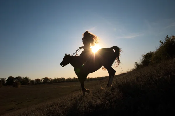 Dívka na koni koně proti slunci — Stock fotografie