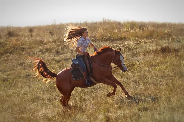 Fille équitation cheval dans la campagne . — Photo