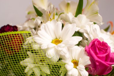 çok güzel çiçekler