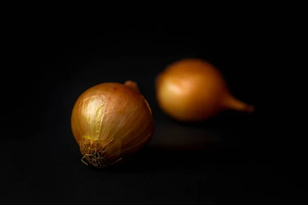 Dos Cebollas Sobre Fondo Negro — Foto de Stock