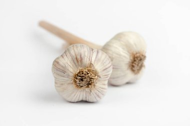 Beyaz arkaplanda sarımsak