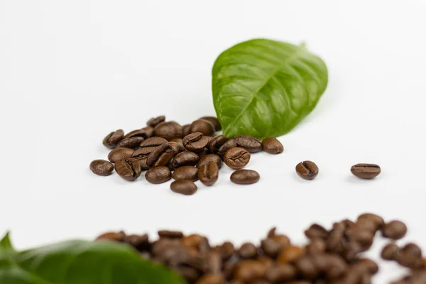 Kaffeebohnen Und Blätter Auf Weißem Hintergrund — Stockfoto