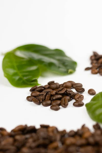 Kaffeebaumblätter Und Kaffeesamen — Stockfoto