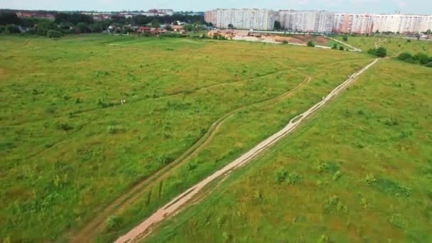 Luchtfoto van groene soja veld op landbouwbedrijf. Behoorlijk natuurlandschap. 4k voorraad beeldmateriaal. — Stockvideo