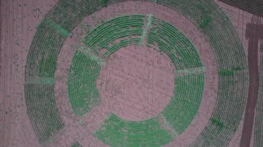 Tarım çiftliğindeki yeşil soya tarlasının havadan görüntüsü. Dolgun doğa manzarası. 4k stok görüntüsü.