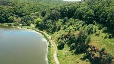 Doğa. Yaz ormanındaki hava manzarası. Havadan doğal yaz manzarası. 4k stok görüntüsü.