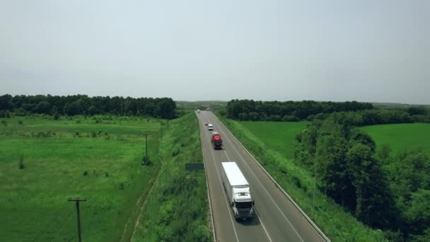 Avanti stretta strada asfaltata paesaggio montano giallo erba giornata di sole. 4K Trasporti Vista aerea. Filmati di stock 4k. — Video Stock