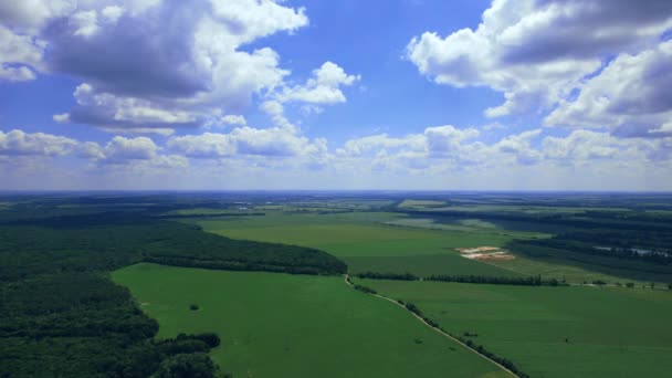 Zdjęcie lotnicze zielonego pola sojowego w gospodarstwie rolnym. Bueutiful krajobraz natury. 4k materiał filmowy. — Wideo stockowe