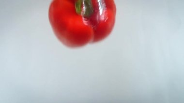 4k 'lık yakın çekim beyaz sırtlı köpeğe karşı suya düşen biberlerin görüntüsü.