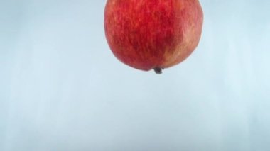 4k 'lık yakın çekim beyaz sırt çantasına karşı suya düşen nar görüntüsü.