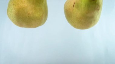 4k 'lık yakın çekim, beyaz sırtlı armutun suya düştüğünü gösteriyor..