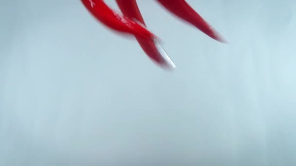 Крупный план 4k кадры с перцем, падающим в воду против белого backgorund. — стоковое видео